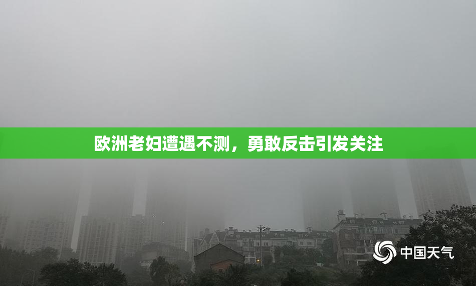 欧洲老妇遭遇不测，勇敢反击引发关注