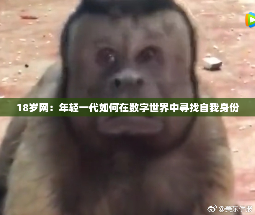 18岁网：年轻一代如何在数字世界中寻找自我身份