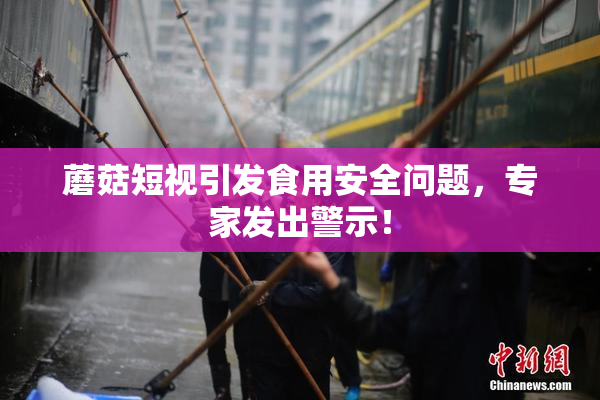 蘑菇短视引发食用安全问题，专家发出警示！