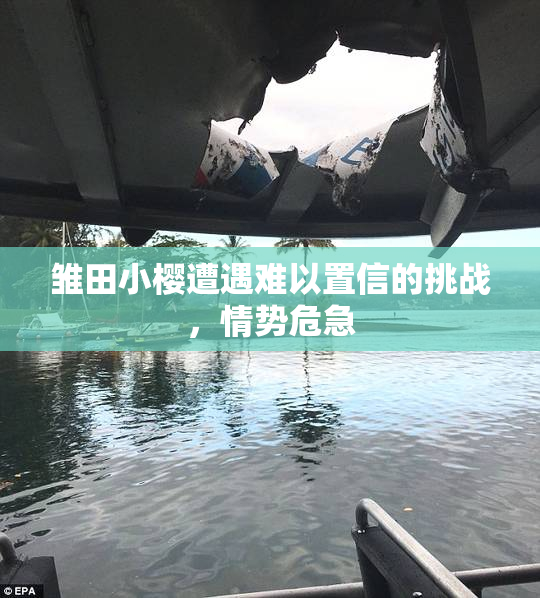 雏田小樱遭遇难以置信的挑战，情势危急