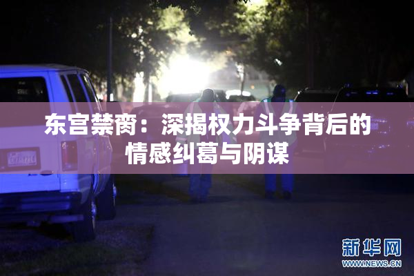 东宫禁脔：深揭权力斗争背后的情感纠葛与阴谋