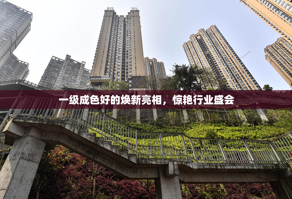一级成色好的焕新亮相，惊艳行业盛会