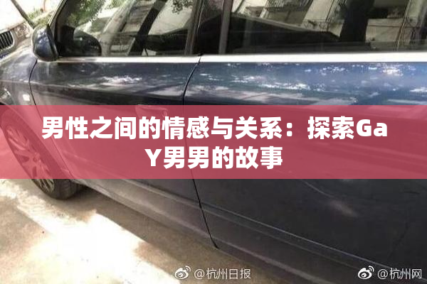 男性之间的情感与关系：探索GaY男男的故事