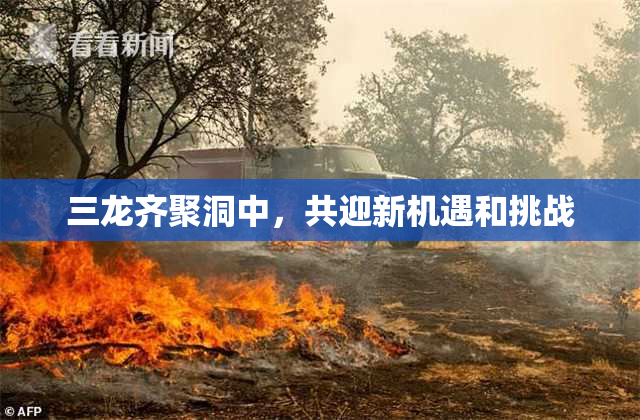 三龙齐聚洞中，共迎新机遇和挑战