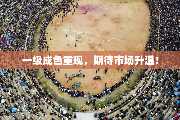 一级成色重现，期待市场升温！