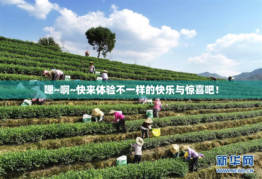 嗯~啊~快来体验不一样的快乐与惊喜吧！