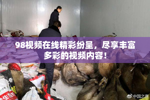 98视频在线精彩纷呈，尽享丰富多彩的视频内容！