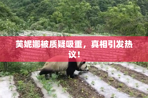 芙妮娜被质疑吸重，真相引发热议！