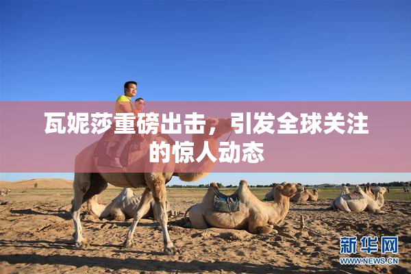瓦妮莎重磅出击，引发全球关注的惊人动态