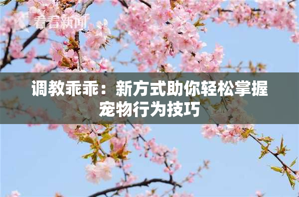 调教乖乖：新方式助你轻松掌握宠物行为技巧