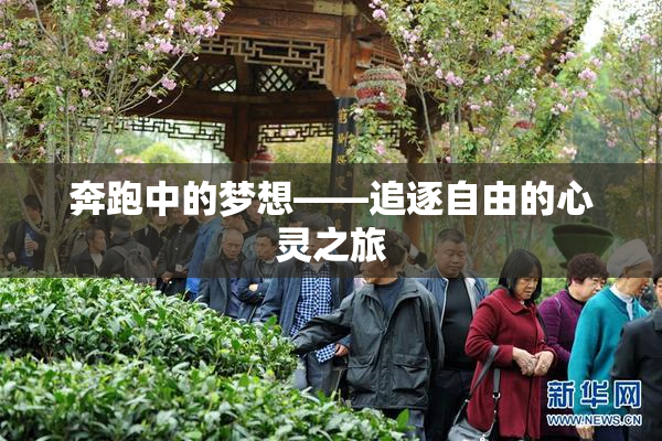 奔跑中的梦想——追逐自由的心灵之旅