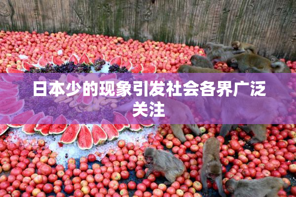 日本少的现象引发社会各界广泛关注
