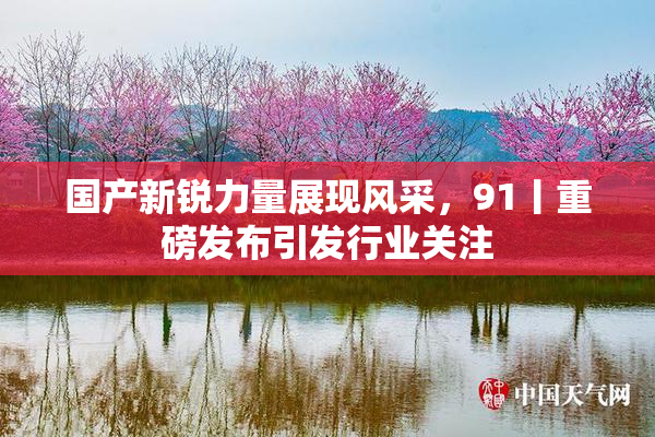 国产新锐力量展现风采，91丨重磅发布引发行业关注
