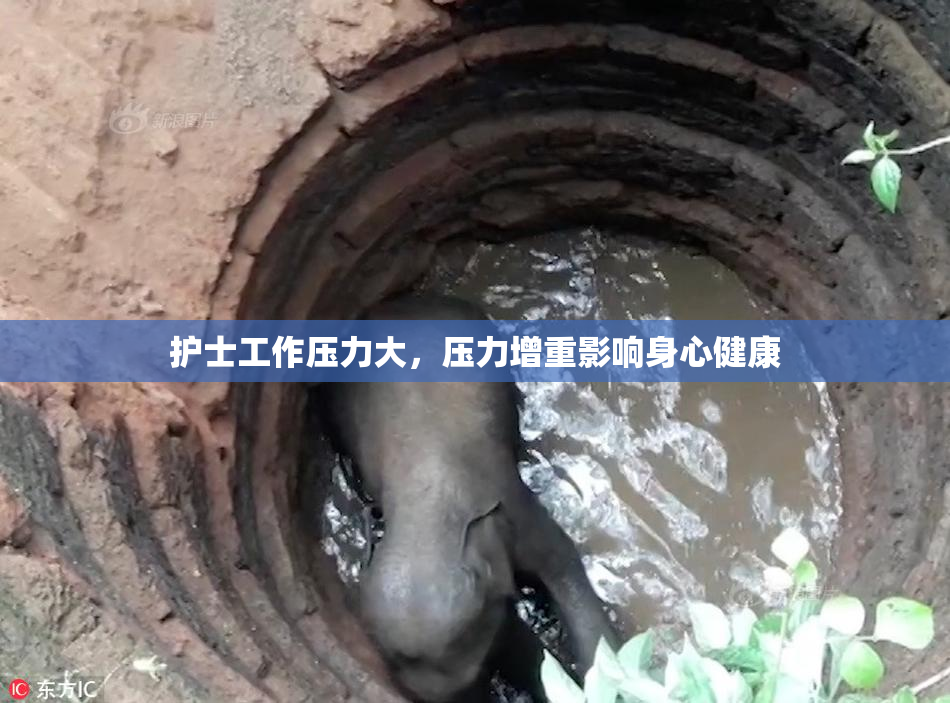 护士工作压力大，压力增重影响身心健康