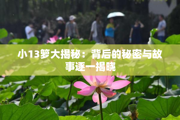 小13箩大揭秘：背后的秘密与故事逐一揭晓