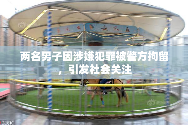 两名男子因涉嫌犯罪被警方拘留，引发社会关注