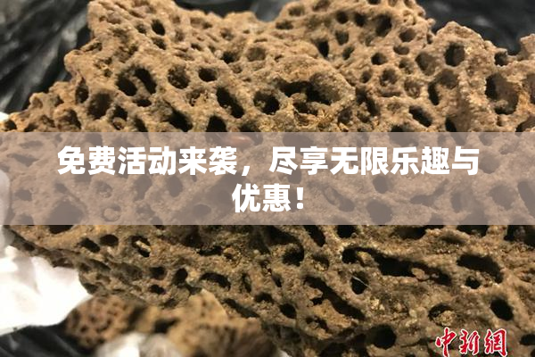 免费活动来袭，尽享无限乐趣与优惠！