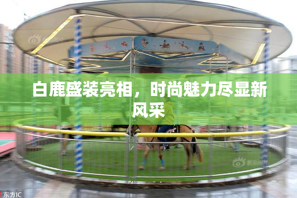 白鹿盛装亮相，时尚魅力尽显新风采