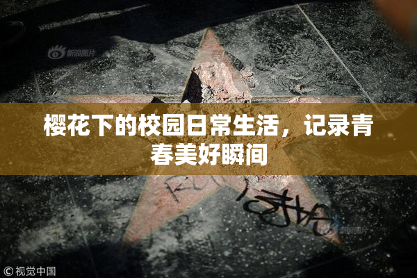 樱花下的校园日常生活，记录青春美好瞬间