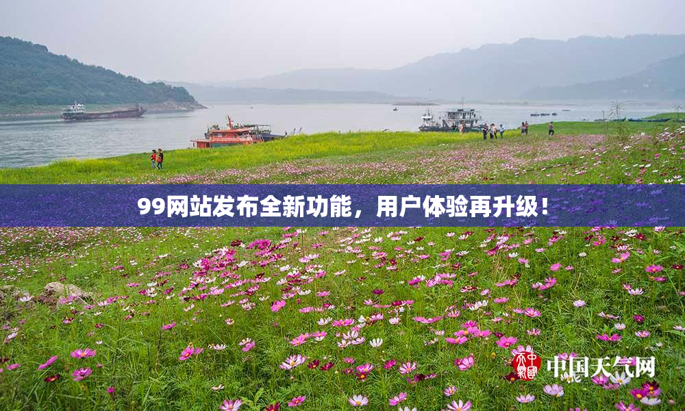 99网站发布全新功能，用户体验再升级！
