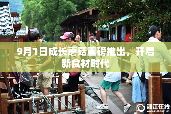 9月1日成长蘑菇重磅推出，开启新食材时代