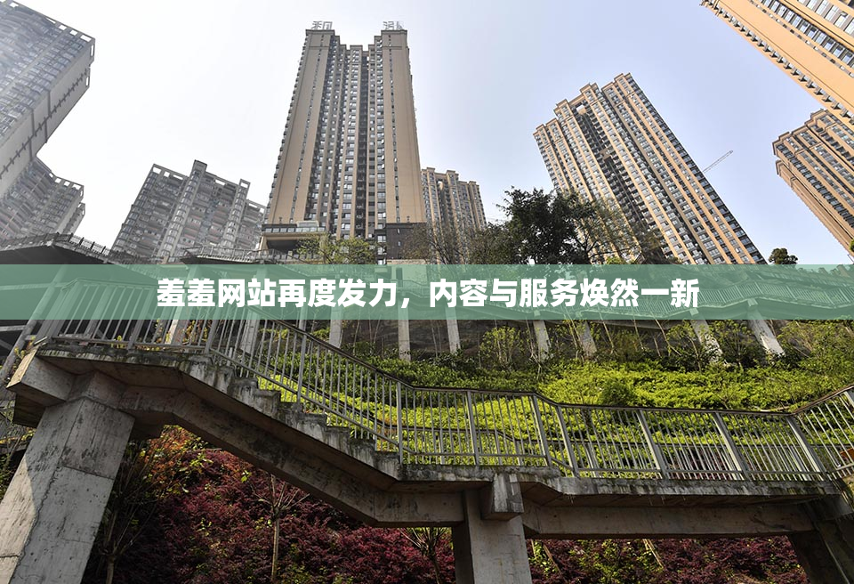 羞羞网站再度发力，内容与服务焕然一新