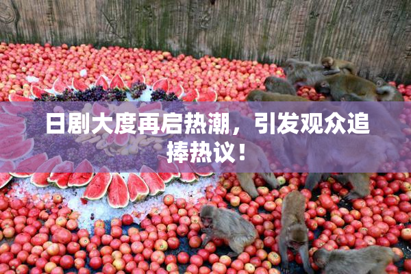 日剧大度再启热潮，引发观众追捧热议！