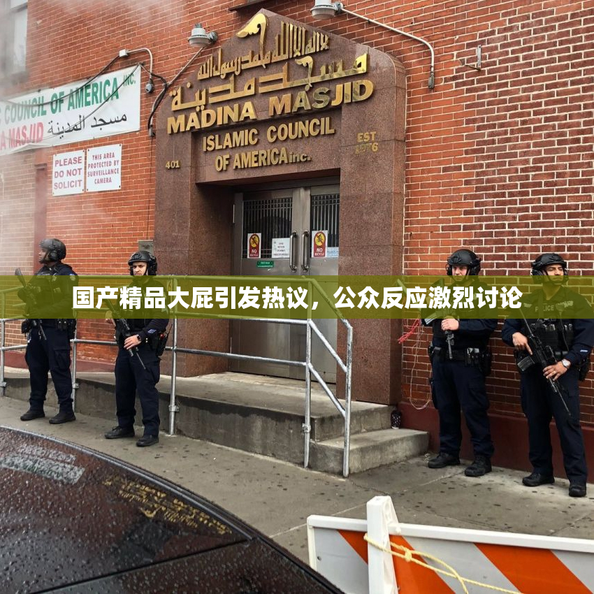 国产精品大屁引发热议，公众反应激烈讨论