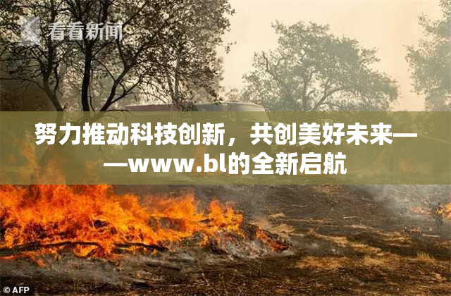 努力推动科技创新，共创美好未来——www.bl的全新启航