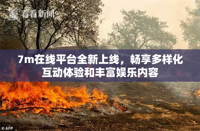 7m在线平台全新上线，畅享多样化互动体验和丰富娱乐内容