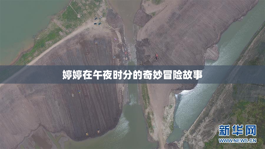 婷婷在午夜时分的奇妙冒险故事