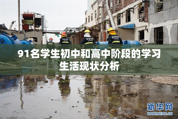 91名学生初中和高中阶段的学习生活现状分析