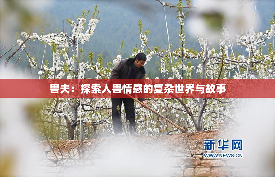 兽夫：探索人兽情感的复杂世界与故事