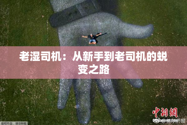 老湿司机：从新手到老司机的蜕变之路