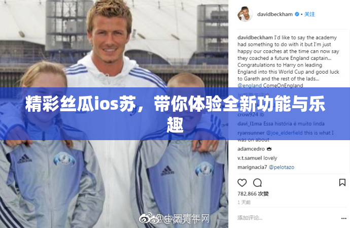 精彩丝瓜ios苏，带你体验全新功能与乐趣