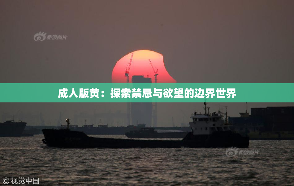成人版黄：探索禁忌与欲望的边界世界