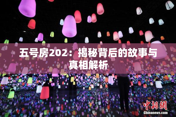 五号房202：揭秘背后的故事与真相解析