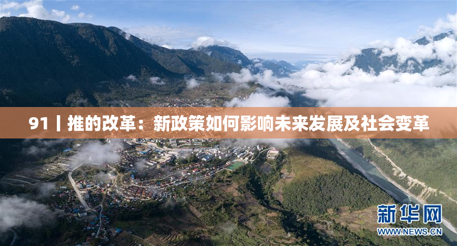 91丨推的改革：新政策如何影响未来发展及社会变革
