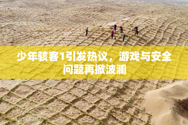 少年骇客1引发热议，游戏与安全问题再掀波澜