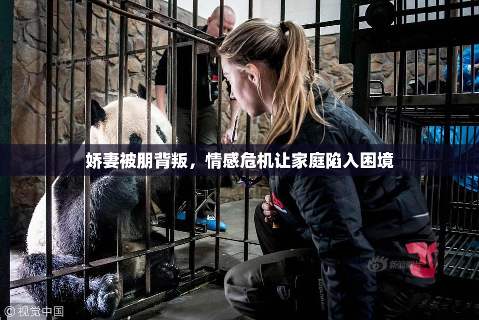 娇妻被朋背叛，情感危机让家庭陷入困境