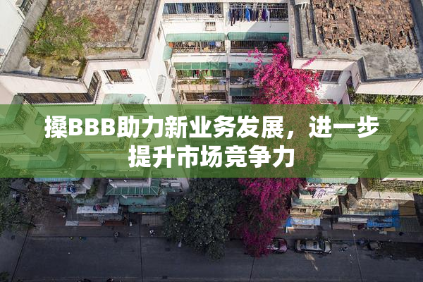搡BBB助力新业务发展，进一步提升市场竞争力