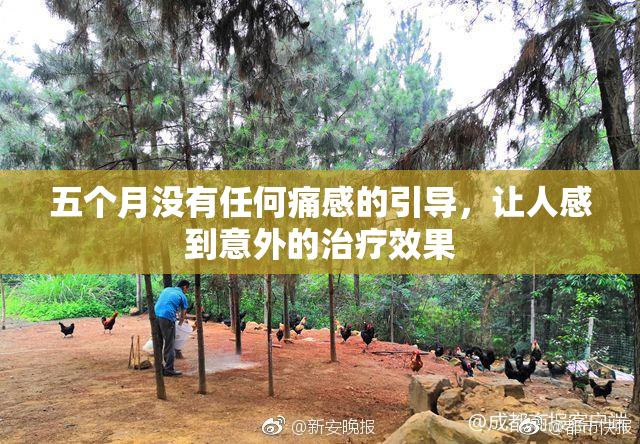 五个月没有任何痛感的引导，让人感到意外的治疗效果