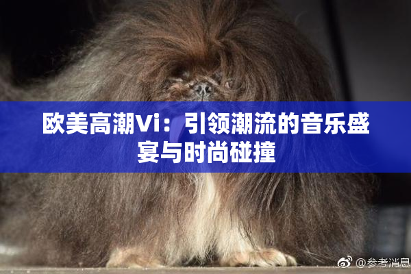 欧美高潮Vi：引领潮流的音乐盛宴与时尚碰撞
