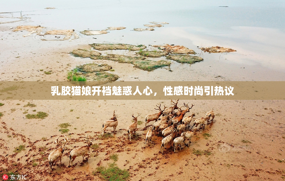 乳胶猫娘开裆魅惑人心，性感时尚引热议