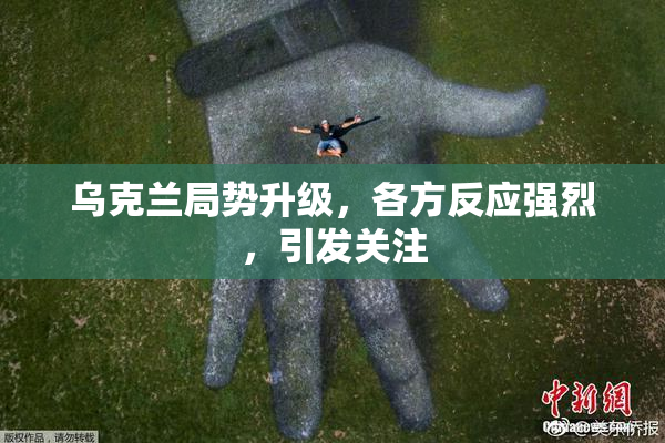 乌克兰局势升级，各方反应强烈，引发关注