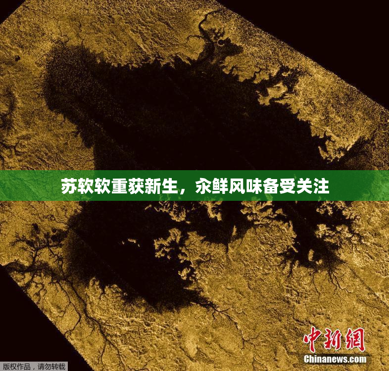 苏软软重获新生，汆鲜风味备受关注