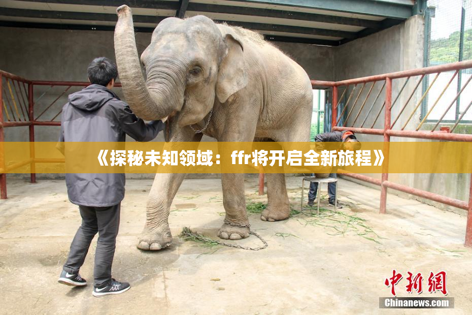 《探秘未知领域：ffr将开启全新旅程》