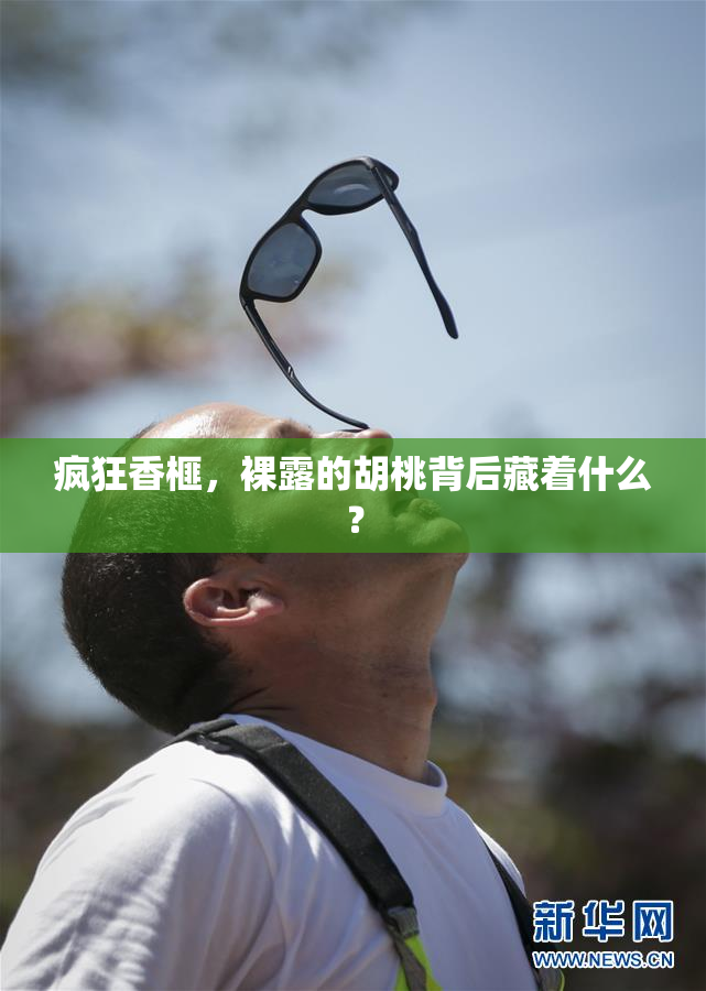 疯狂香榧，裸露的胡桃背后藏着什么？