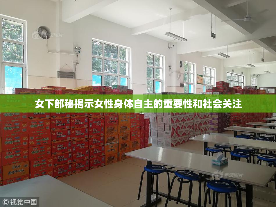 女下部秘揭示女性身体自主的重要性和社会关注
