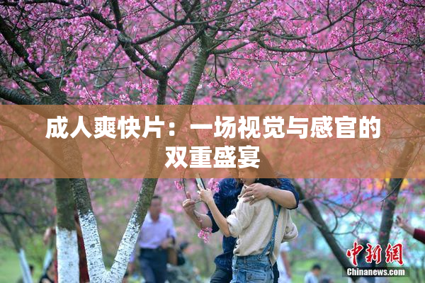 成人爽快片：一场视觉与感官的双重盛宴